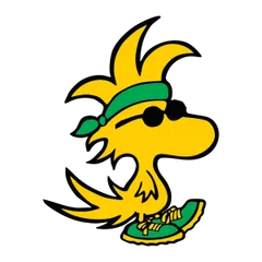 Publix Woodstock 5K logo