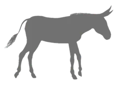 New Year's Burro Bash logo
