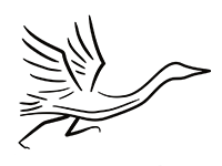 Tomorrow River Trail Half-Marathon logo