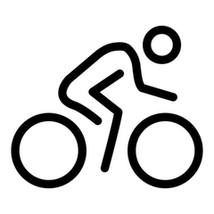 Blazing Paddles logo