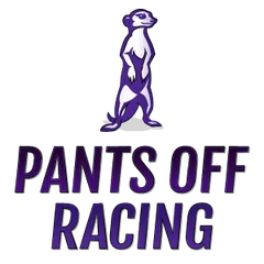 The 8th Annual Hermosa Beach 2 Mile Sand Run logo