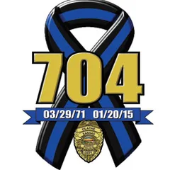 704 Blue Run logo