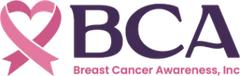 Step N' Stride logo