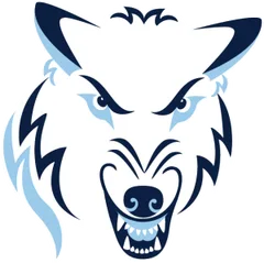 Northwood Run with the Wolves 5k logo
