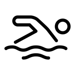 Swim The Fish 2027 logo