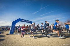 Veterans Day Fun Run logo
