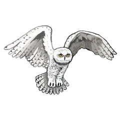 Snowy Owl Trail Race logo