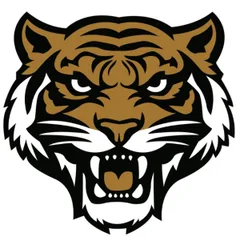 Southern Alamance Middle School Tigers 5k/Fun Run logo