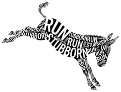 Run Stubborn 25k and 50k logo
